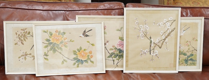 20th century, Chinese School, set of five watercolours on silk, Birds of Paradise amongst flowers, 28 x 33cm. Condition - fair